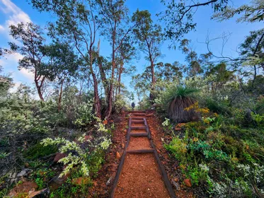 Von Perth aus: John Forrest Wasserfälle, Wandoo & Wildblumen