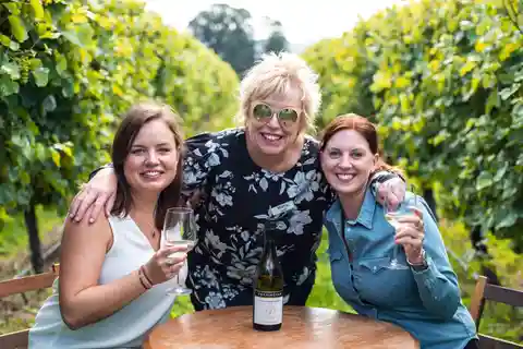 Marlborough Full Day Wine Tour from Picton
