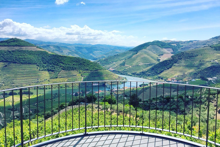 From Porto: Full-Day Douro Valley Trip and Port Wine Tasting