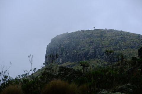 Aberdare National Park: Mount Satima Overnight Hike
