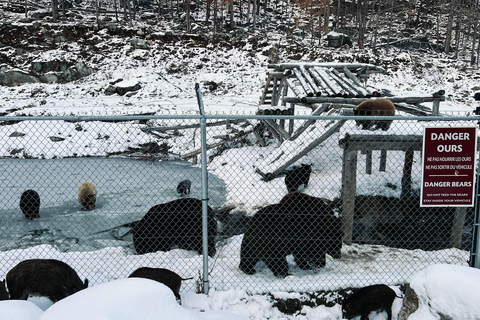 Montreal: Omega Park Private Tour with Pickup & Guide