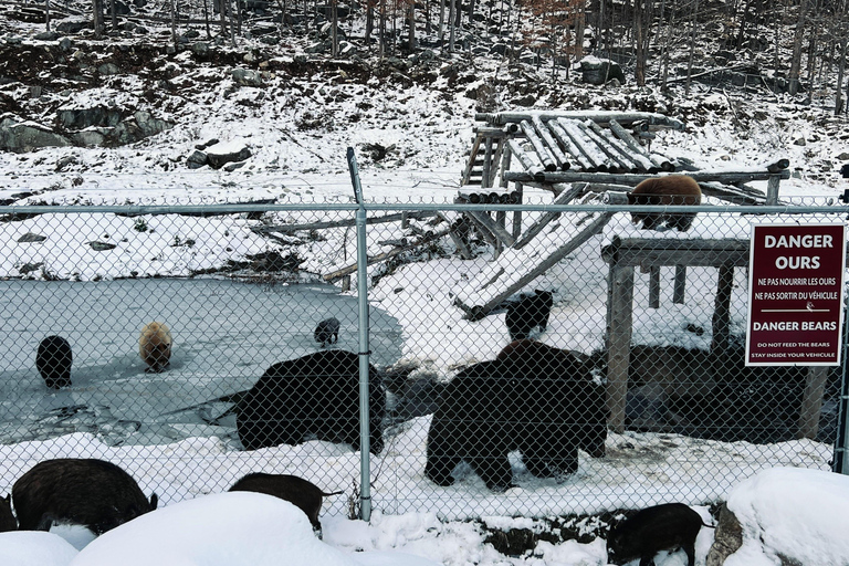 Montreal: Omega Park Private Tour with Pickup & Guide