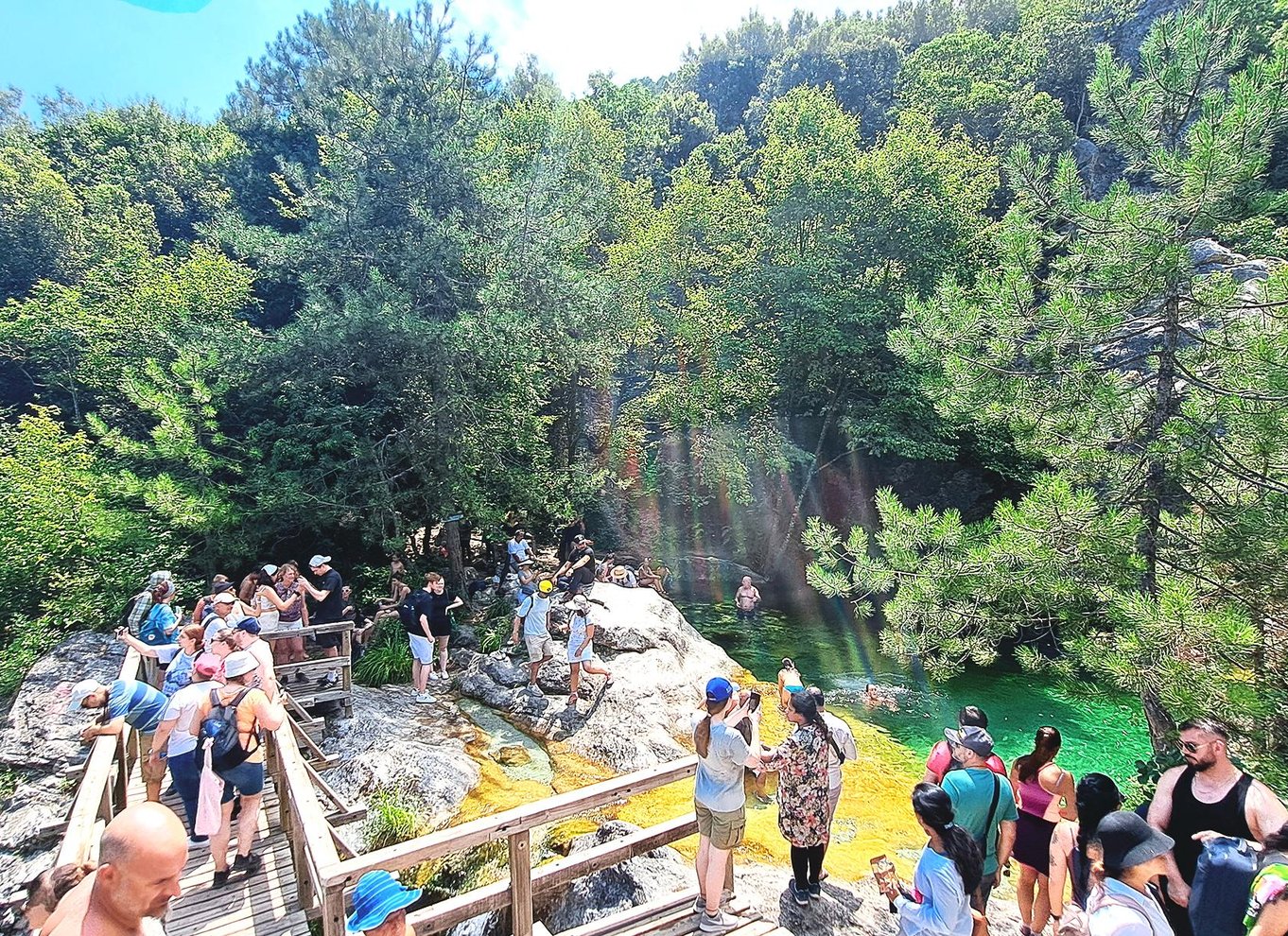 Fra Thessaloniki: Dagsudflugt til Dion og Mount Olympus Park