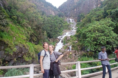 ELLA Lipton Seat Tea Test & Pluck 9Arch, Waterfalls, & Food Lipton's Seat, Little Adam Peak, 9 Arch, Ravana Waterfalls