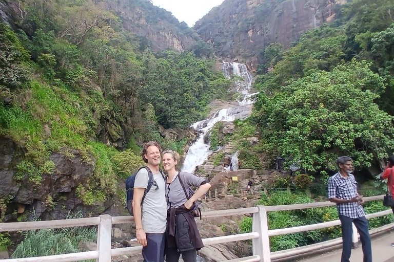 ELLA Lipton Seat Tea Test & Pluck 9Arch, Waterfalls, & Food Lipton's Seat, Little Adam Peak, 9 Arch, Ravana Waterfalls