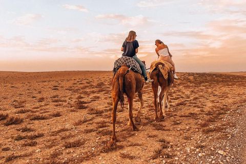 Marrakech - Ökenrundtur Agafay ökenrundtur med fyrhjuling, kamelridning och middagMarrakech: Agafay Desert Tour med fyrhjuling, kamelridning och middag