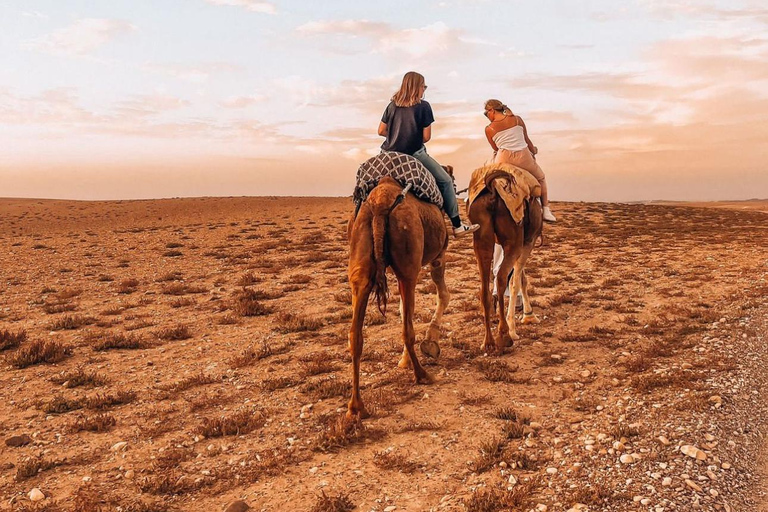 Marrakesz: Agafay Desert Tour z quadem, przejażdżką na wielbłądzie i kolacją