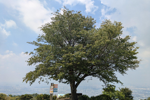 Nara: Mt. Ikoma Guided Hiking Tour with Cable Car and Views