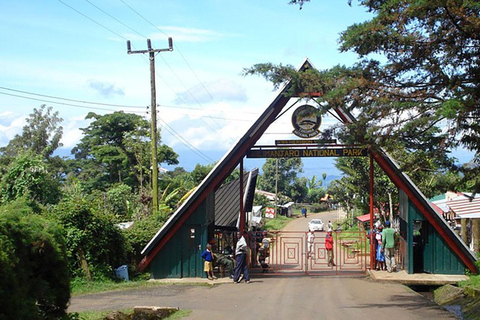 Kilimanjaro in a Day: Unforgettable Marangu Route Adventure