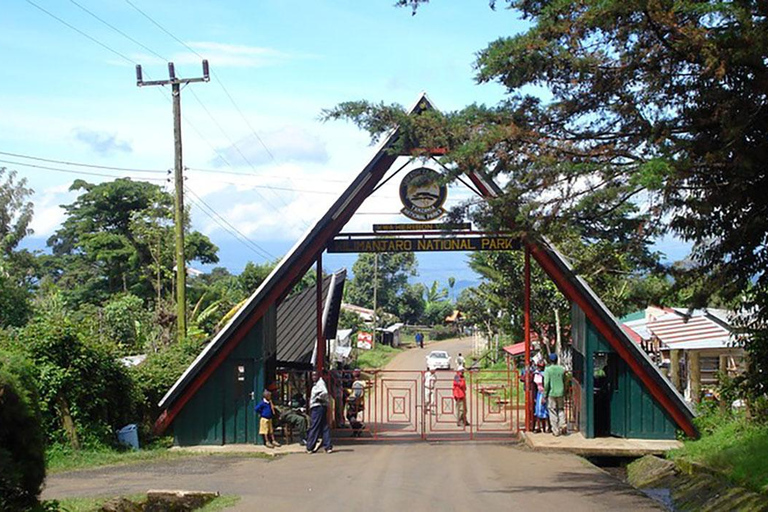 Kilimanjaro in a Day: Unforgettable Marangu Route Adventure