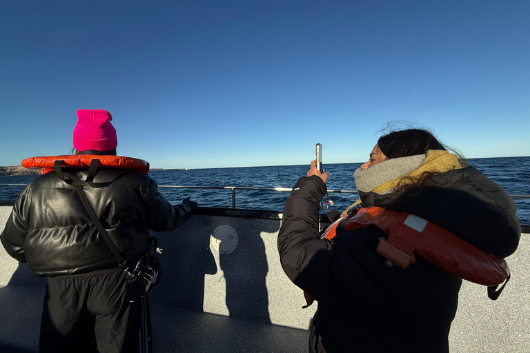 Península Valdés: Whale Watching Boat Tour with Guide