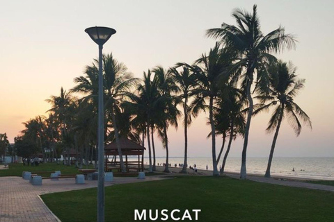 Luxury Private Muscat Tour with Local Omani Guide ⭐ Ford Mustang GT