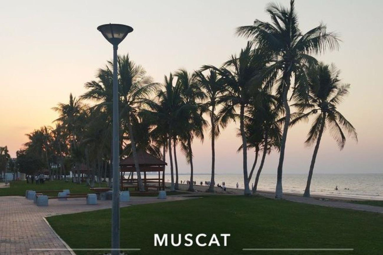 Luxury Private Muscat Tour with Local Omani Guide ⭐ Ford Mustang GT
