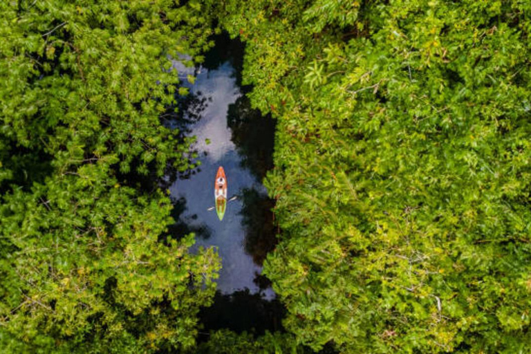 Sansibar: Gewürzfarm, Stone Town &amp; Mangroven-Kajaktour