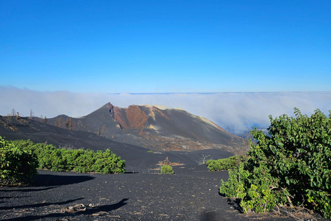 La Palma: Tour to the new Tajogaite volcano 360º. Pick up in Fuencaliente