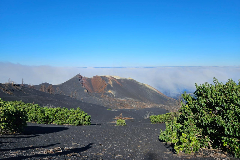 La Palma: Tour to the new Tajogaite volcano 360º.Pick up in Santa Cruz de La Palma