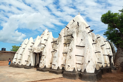 Ghana: Akra, Park Narodowy Mole i wycieczka do Cape Coast