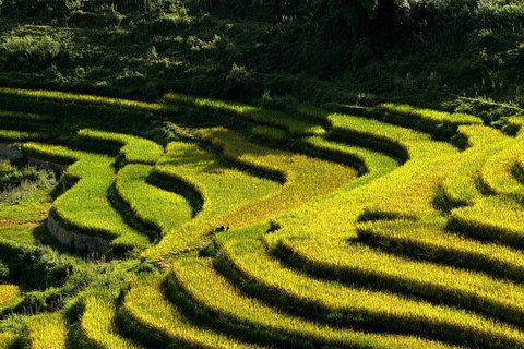 TREKKING SA PA 2D/1N A TRAVERS LA NATURE ET LA CULTURE AVEC LALA