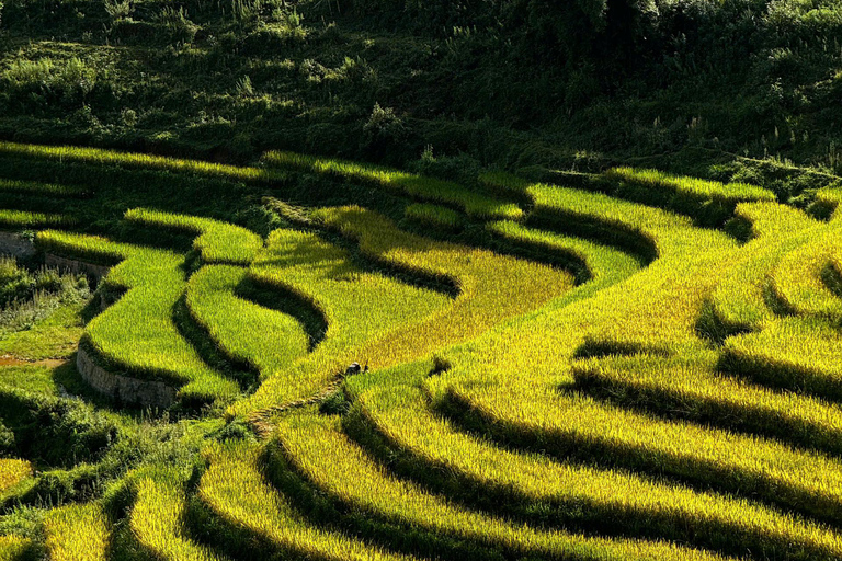 SA PA TREKKING 2D/1N ATTRAVERSO LA NATURA E LA CULTURA CON LALA