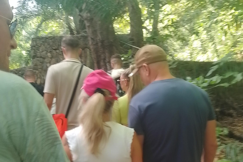 Mombasa: Private City Tour with street food and Haller Park