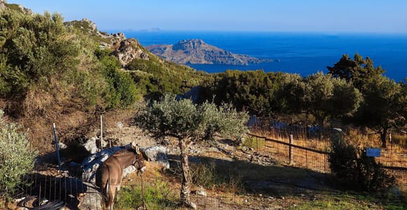 From Plakias: Rural Crete Tour & Cheese-Making Demonstration