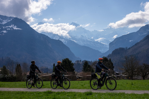Interlaken: E-bike rondleiding met gids