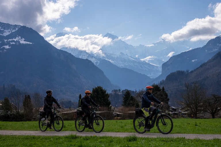 Interlaken: E-bike rondleiding met gids