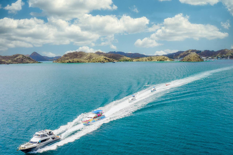 Excursion d'une journée à Komodo en bateau rapide