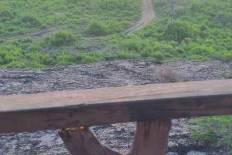 Minneriya national park elephant safari by 4×4 jeep