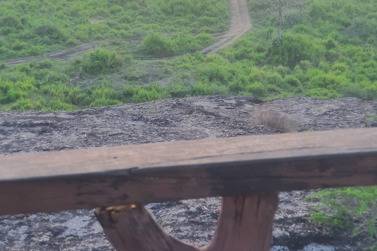 Minneriya national park elephant safari by 4×4 jeep