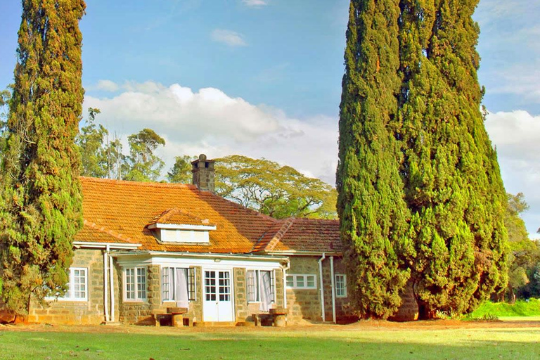 Visita de un día al Centro de Jirafas, Karen Blixen y Orfanato de Elefantes