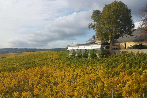 Tour privado por el Valle del Rin con crucero fluvial y cata de vinos