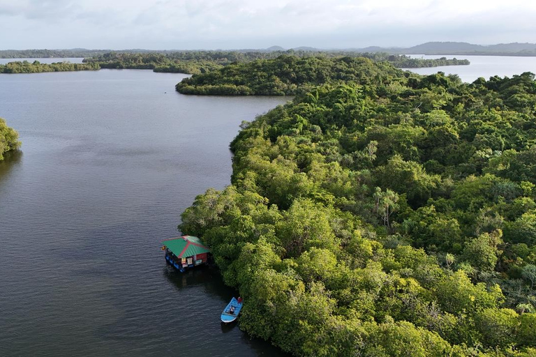 Madu River Boat Cruise & Cinnamon Garden All Inclusive Tour Madu River Boat Ride without Pick up