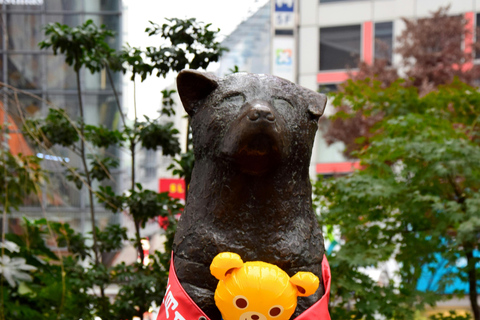 Visite personnalisable de Tokyo avec chauffeur et transport personnel