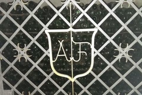 Montevideo: Tour of a century-old urban winery and tasting of 6 wines