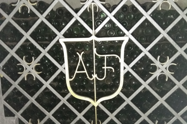 Montevideo: Tour of a century-old urban winery and tasting of 6 wines