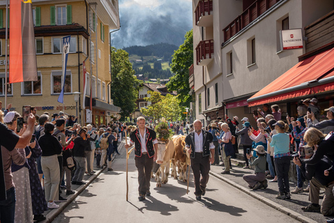 Grindelwald, Interlaken & Lauterbrunnen Day Trip Tour from Lucerne