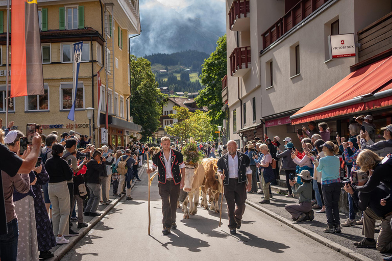 Grindelwald, Interlaken & Lauterbrunnen Day Trip Tour from Lucerne