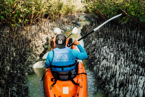 Doha: Tour del Qatar settentrionale, mangrovie, forte di Zubara e viola