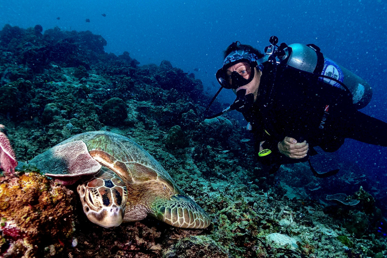 Meno Dive Club: Discover Scuba Diving Experience - Gili Meno