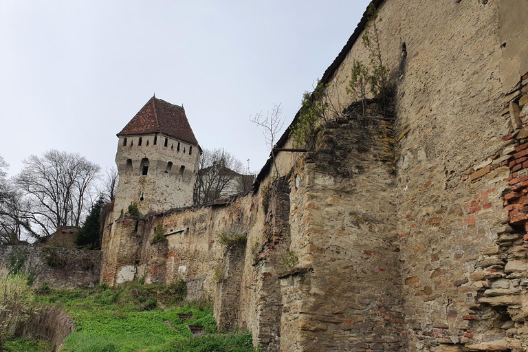 Von Bukarest aus: 4-tägige private geführte Tour durch RumänienStandard Option