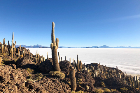 La Paz: Uyuni zoutvlakte en Incahuasi eiland |5 dagen met de bus