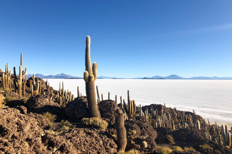 La Paz: Uyuni zoutvlakte en Incahuasi eiland |5 dagen met de bus