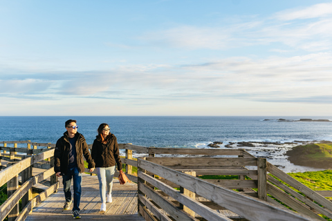 Desde Melbourne: Excursión ecológica a la fauna de Phillip IslandDesde Melbourne: ecotour de fauna a Phillip Island