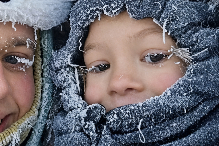 Fairbanks: Highlight Winter City Tour