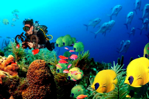Colombo: Private 2-Day Hikkaduwa & Galle Tour