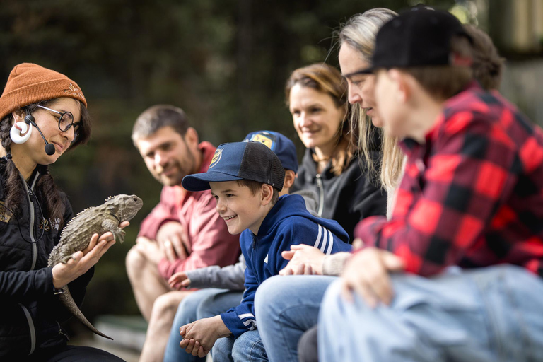 Queenstown: Ticket de entrada al Kiwi Park