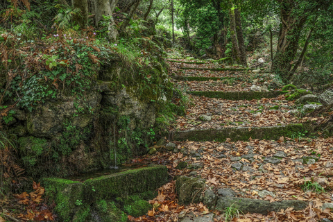 Mystras: Taygetos Bergwanderung Tour