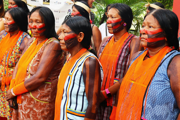 Manaus: 3-Day Amazon Jungle Adventure with Camping