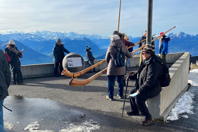 Luzern: Dagtrip naar Mt. Rigi met boottocht en tandradbaan